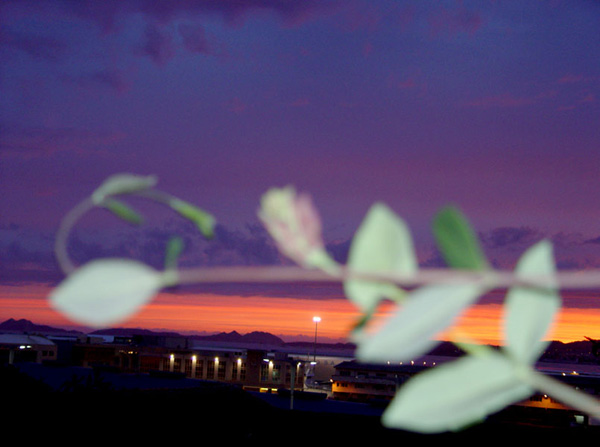 cielos92.jpg