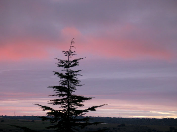 cielos920.jpg