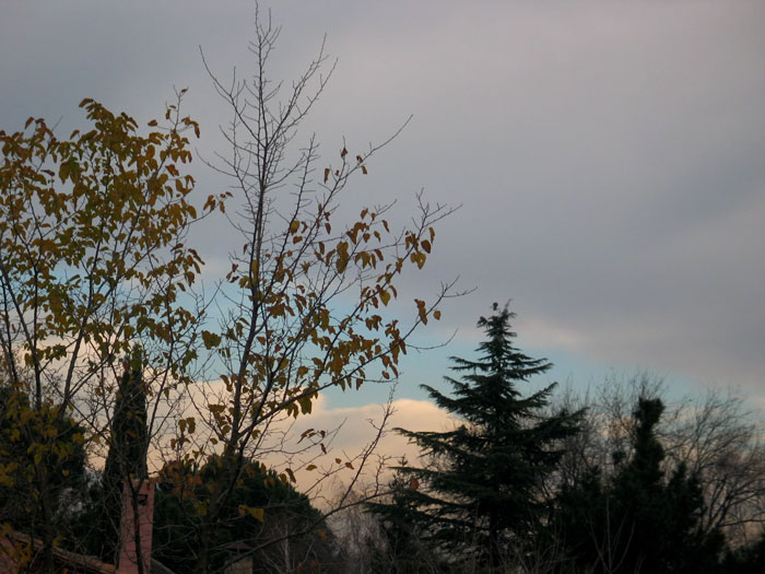 cielos942.jpg