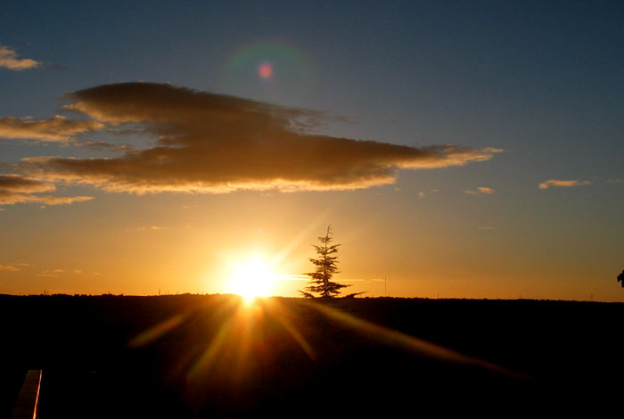 cielos951.jpg
