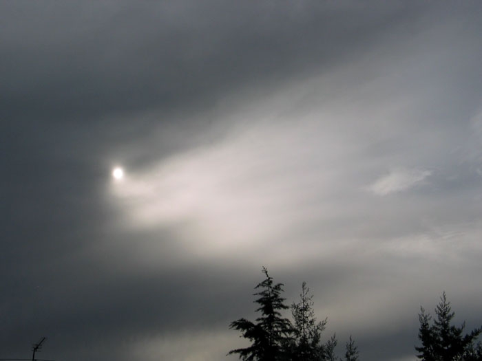 cielos954.jpg