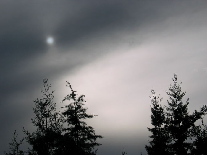 cielos956.jpg