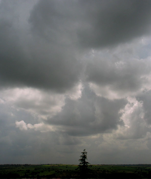 cielos961.jpg