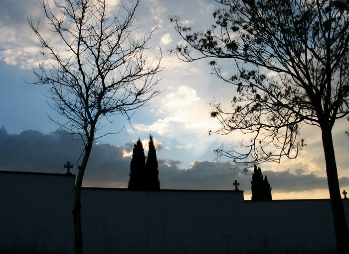 cielos966.jpg