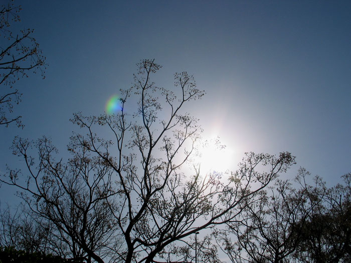cielos967.jpg