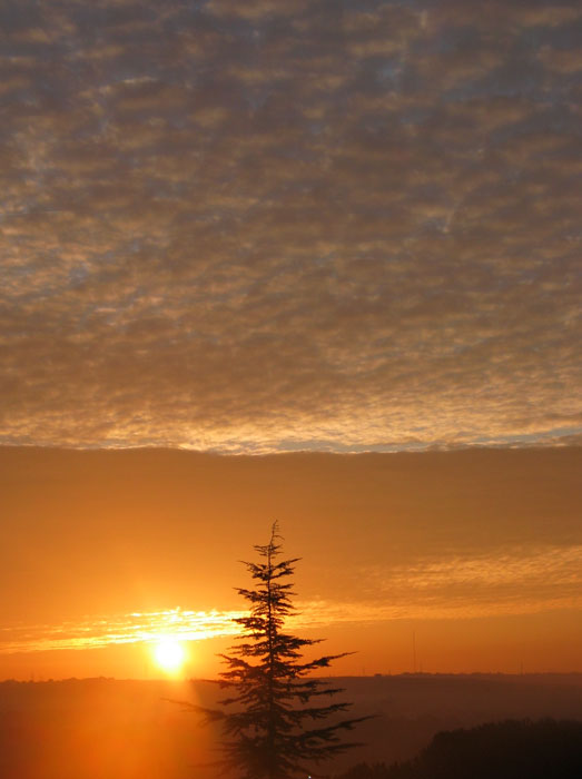 cielos974.jpg
