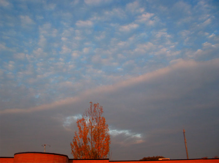 cielos975.jpg
