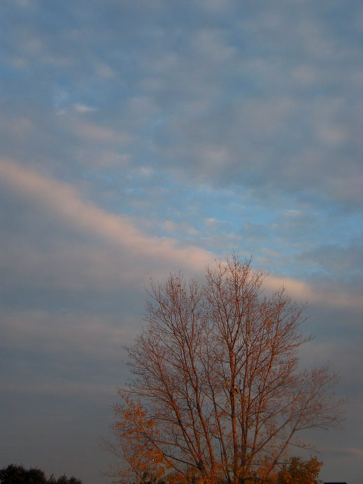 cielos976.jpg