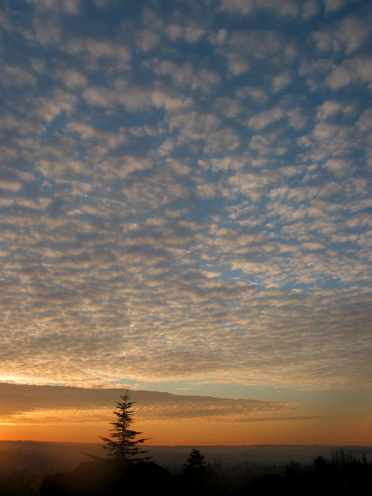 cielos978.jpg