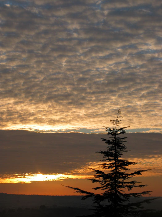 cielos980.jpg