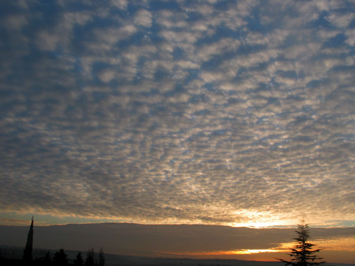 cielos981.jpg