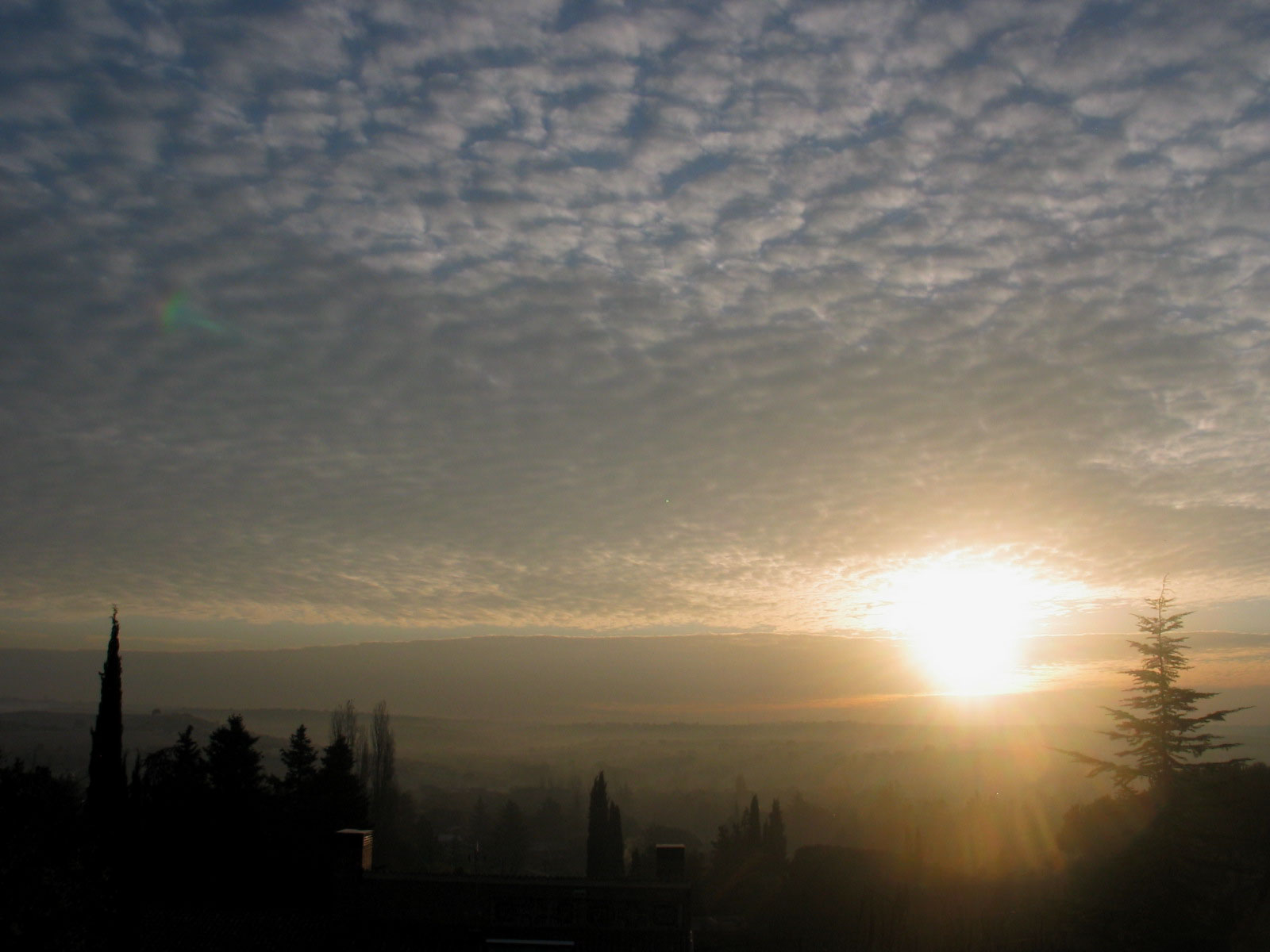 cielos984.jpg