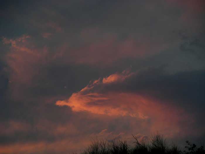 cielos_1381.jpg