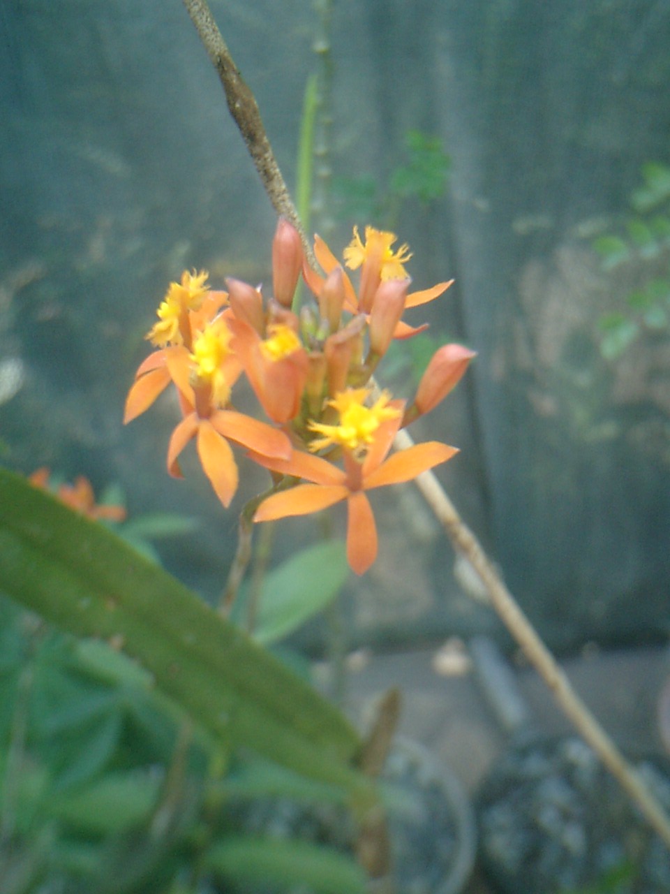 CIMG0080.JPG