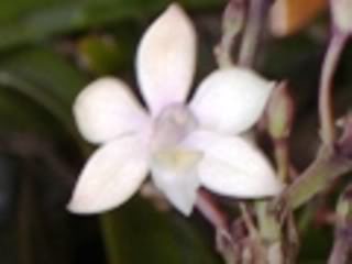 CIMG0084-1.jpg