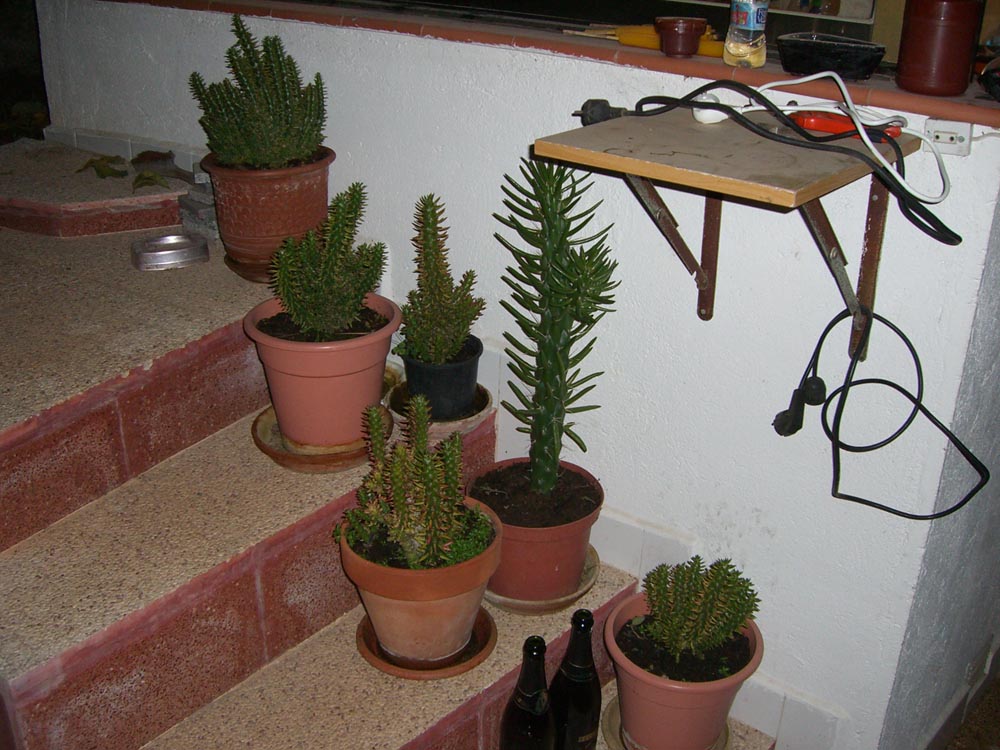 CIMG0212.jpg