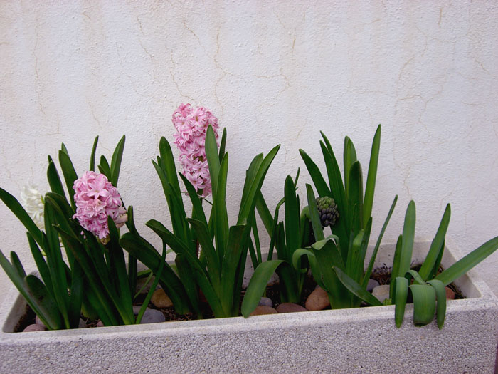 CIMG0446.JPG