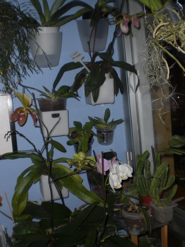 CIMG0682.jpg