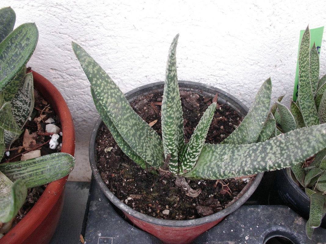 CIMG0800.jpg