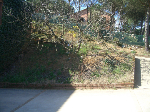 CIMG27661.jpg