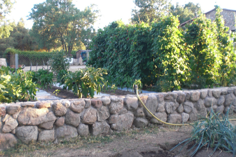 CIMG6000.JPG