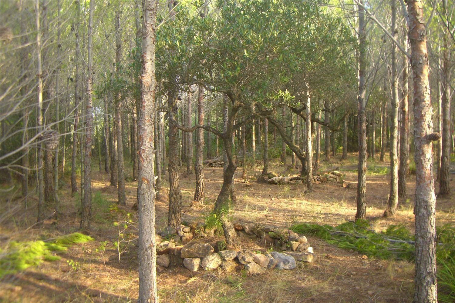 CIMH3280.JPG