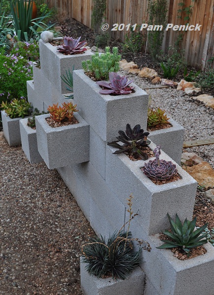 Cinderblock_succulent_wall_1.JPG