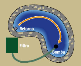 Circulaci%F3n.jpg