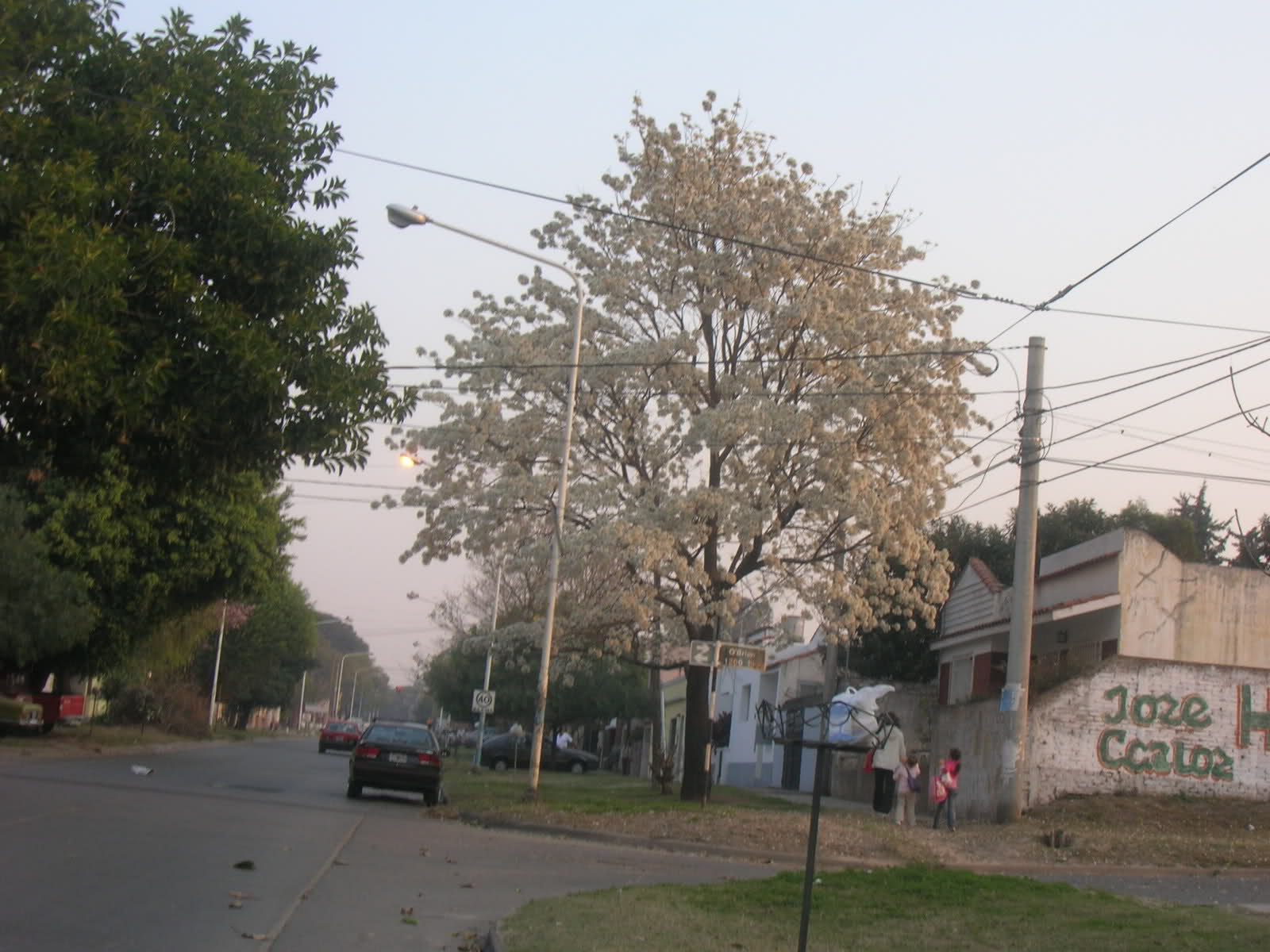 cjn60.jpg