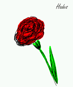 clavel.jpg