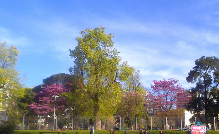 CLv0483XnZ.jpg