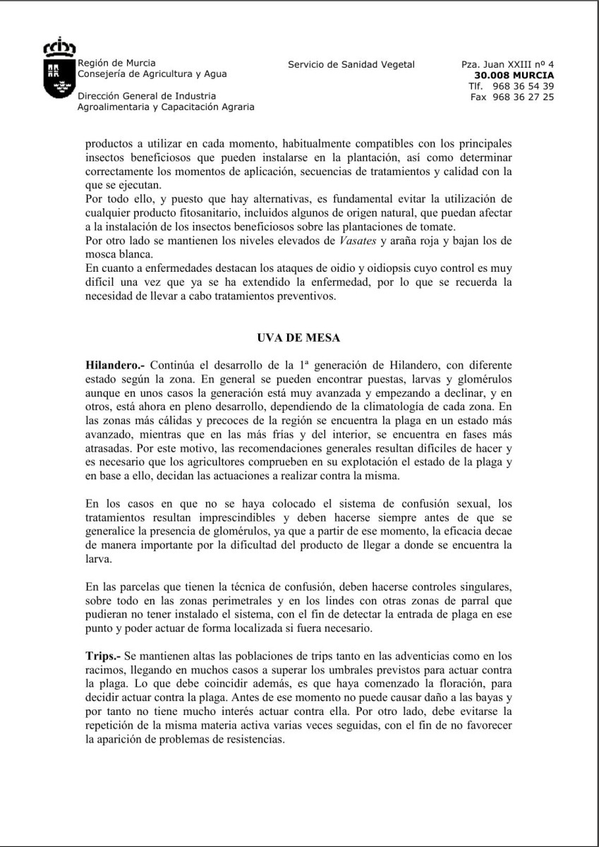 coci1.jpg