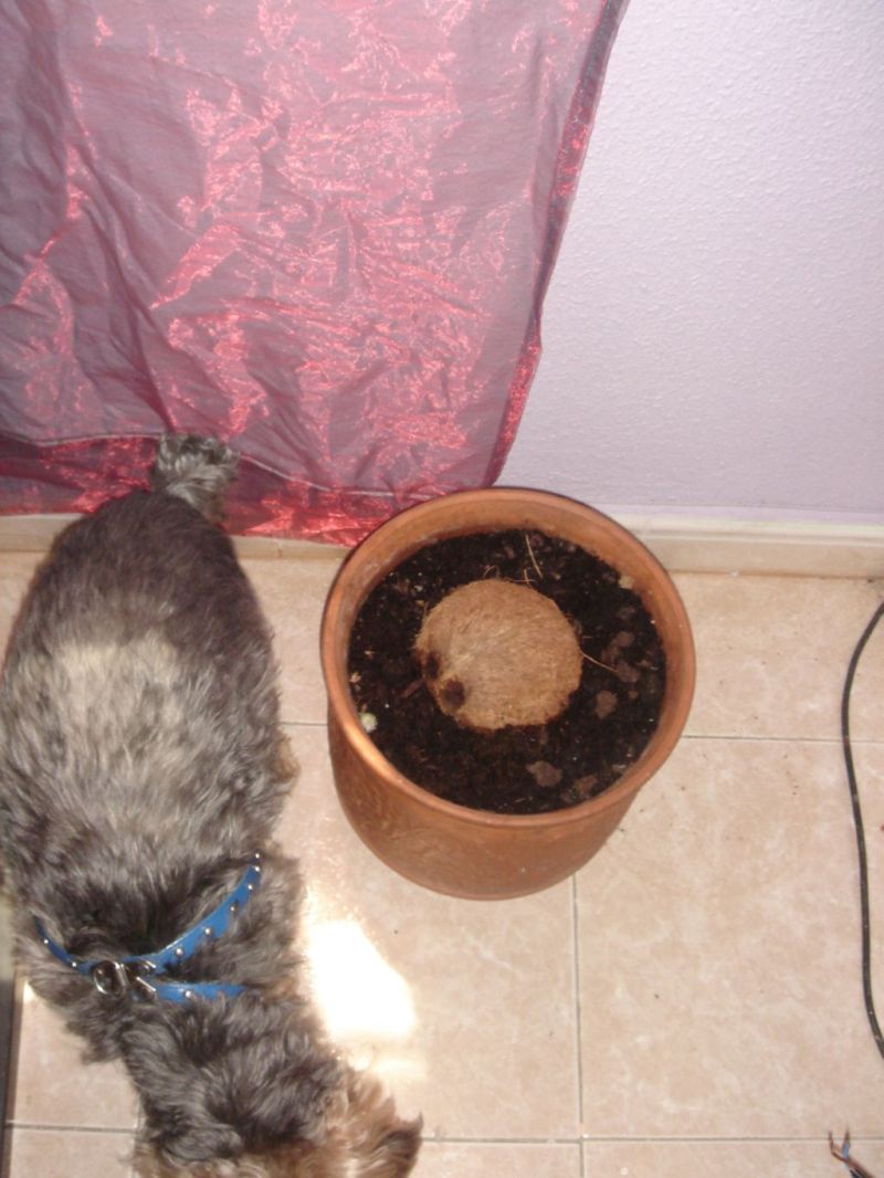 coco%7E0.jpg