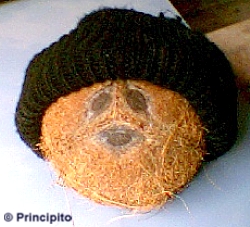 coco_g.JPG