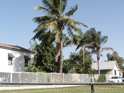 Coconuts+Goodna+1.jpg