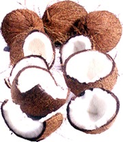 cocos.jpg