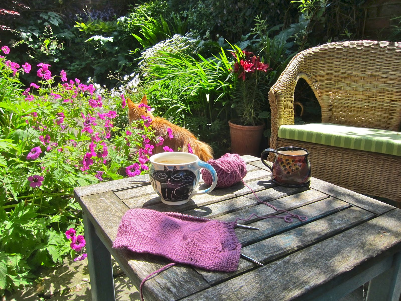 Coffee_garden.jpg
