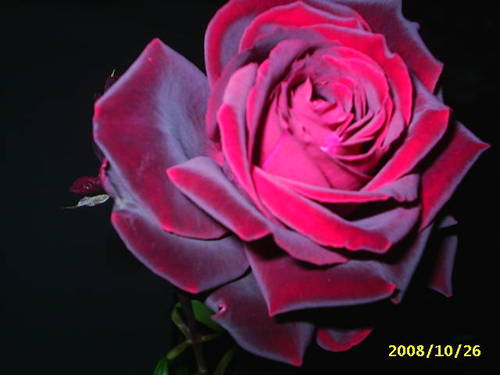 colores_027.JPG