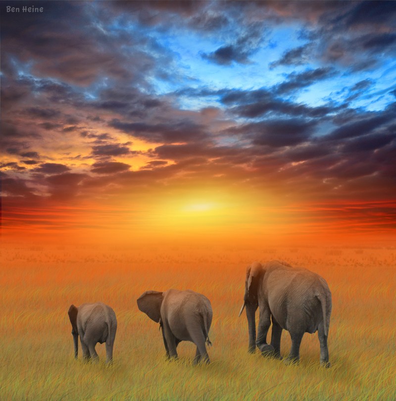 com%2f_IX8poG1JX9c%2fS98BiNfTGKI%2fAAAAAAAACMg%2fbRvx6bSWAbQ%2fs1600%2fbeautiful_africa_photos17.jpg