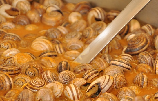 comer_caracoles_en_cordoba_4.jpg