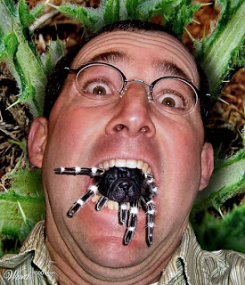 comiendo+aran%CC%83a.jpg