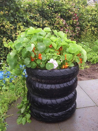 communitygardentyresnasts.jpg