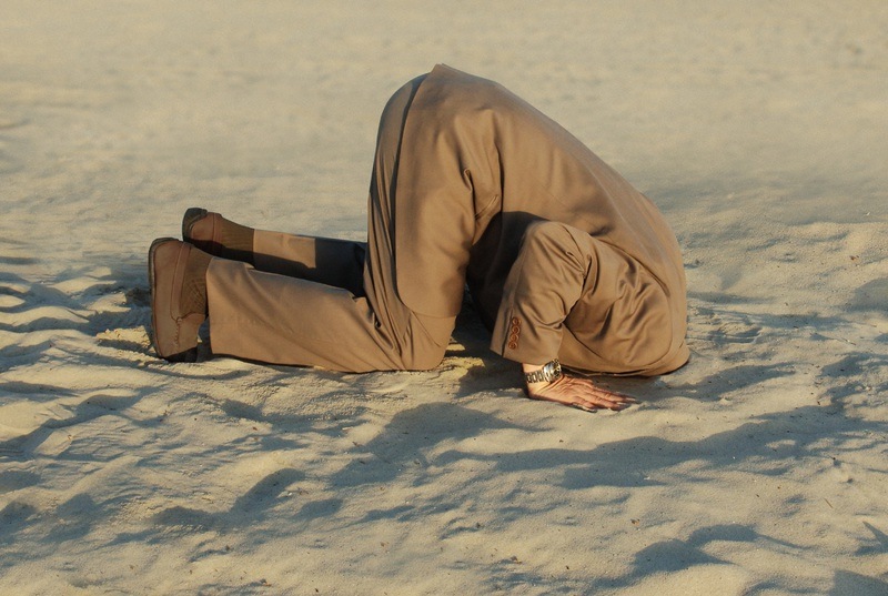 COMO+avestruz2.jpg