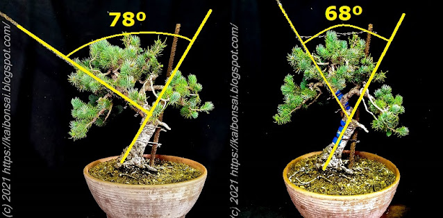 comparativa%2Bgrados.jpg