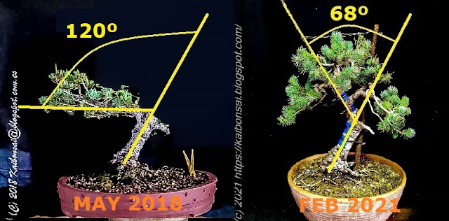comparativa%2Bgrados2.jpg