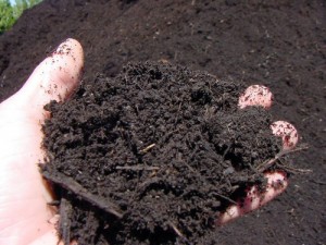 compost-tierra-300x225.jpg
