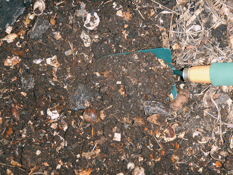 compost2017.jpg