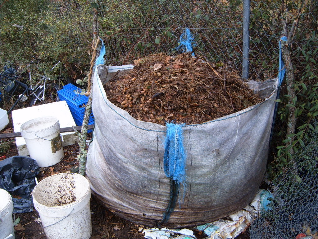 compostdebellotas1.jpg