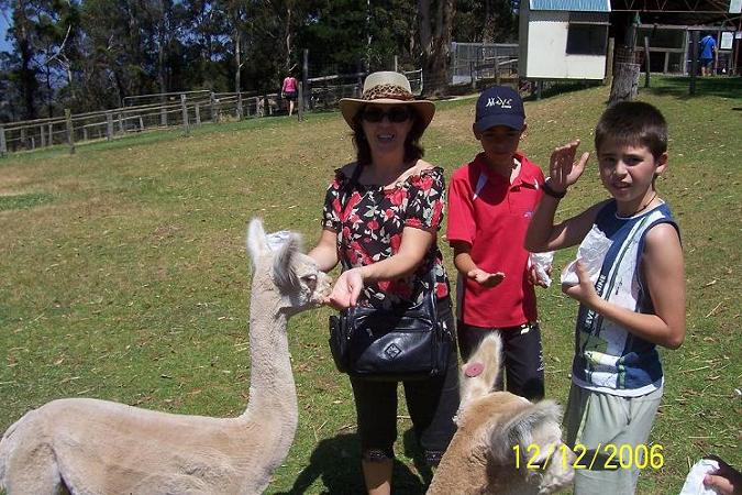 Con la alpaca.JPG