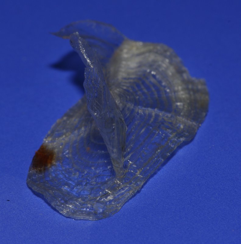 Concha_4522.jpg